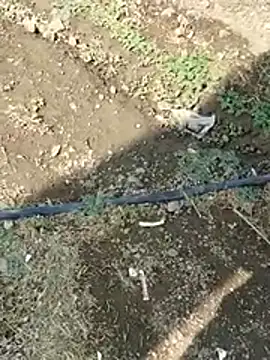 Snapshot of DADDY69SS chatting on 8, 2, 2026 DADDY69SS online show from 8, 2, 2026