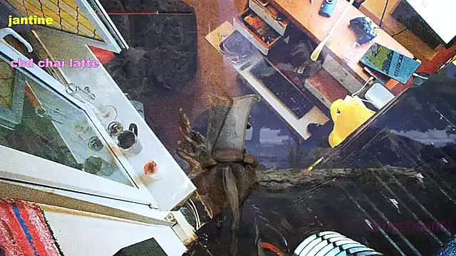 Snapshot of BongChannel chatting on 9, 3, 2025 BongChannel online show from 9, 3, 2025