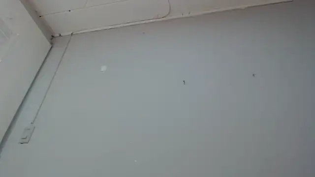 Emma-Wilson online show from 14, 3, 2025