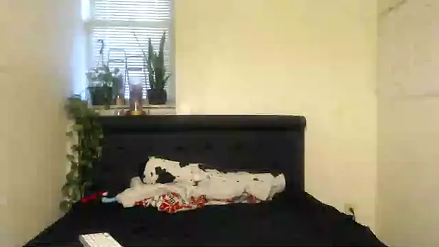 Snapshot of vixenpaisley2 chatting on 7, 12, 2024 vixenpaisley2 online show from 7, 12, 2024