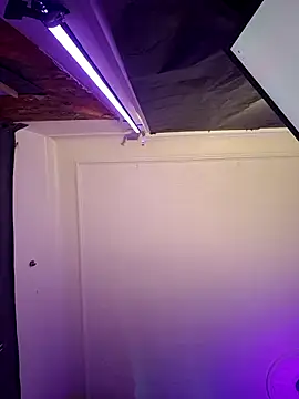 Tony Torrente online show from 17, 3, 2026