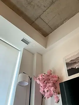 Your Paris online show from 13, 11, 2025