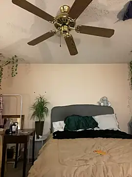 magicalc00ch online show from 23, 12, 2024