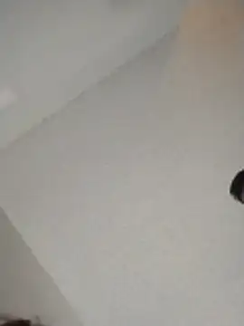 xWhoreAbleX Pika online show from 30, 11, 2025