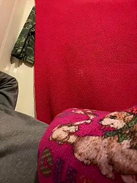 Snapshot of A6229 chatting on 26, 2, 2025 A6229 online show from 26, 2, 2025