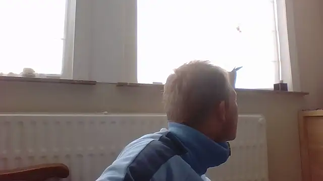 bertolini online show from 12, 10, 2025