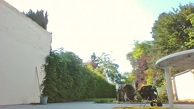 bertolini online show from 24, 5, 2026
