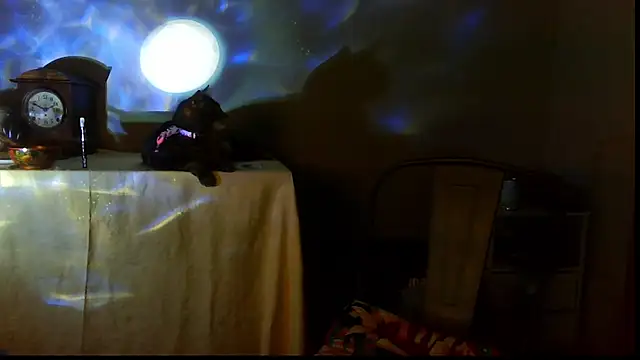 SexWorkerX online show from 17, 12, 2025