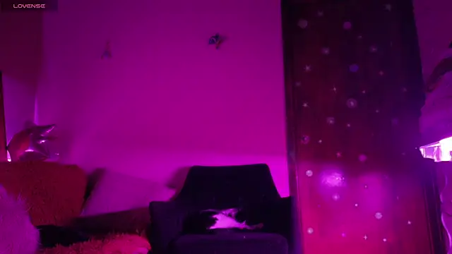 maryberry   online show from 18, 4, 2026