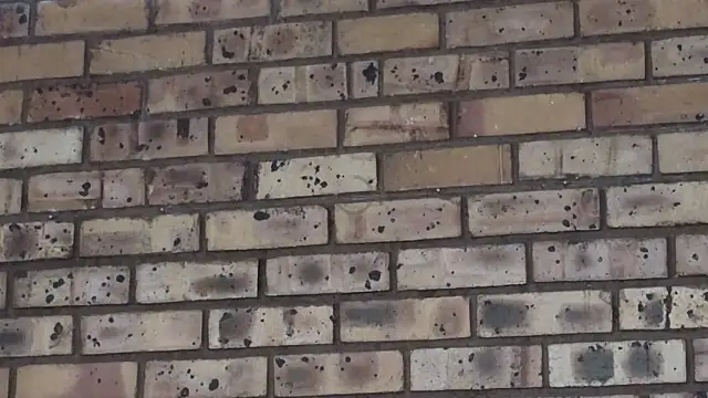 Astoria Moon online show from 21, 12, 2024