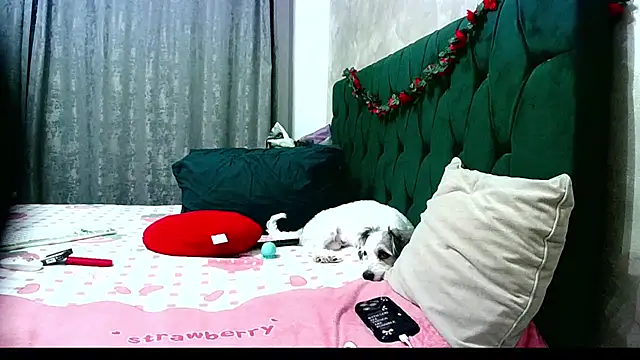 Snapshot of MikySWeet7 chatting on 26, 6, 2026 MikySWeet7 online show from 26, 6, 2026