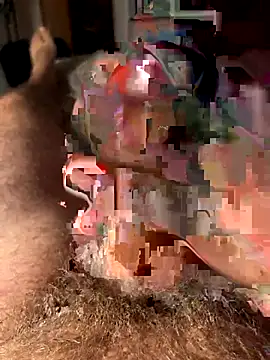 francoers online show from 16, 10, 2025