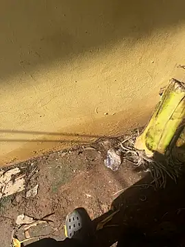 Black-mamba-madingo online show from 10, 10, 2025