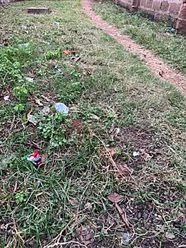 Black-mamba-madingo online show from 29, 10, 2025