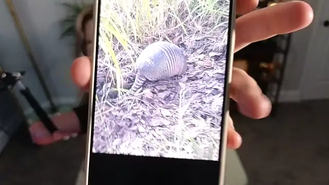 rodeobrii online show from 17, 11, 2025