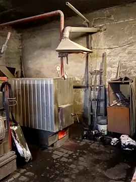 MityaXLoves online show from 31, 1, 2026