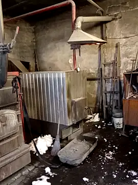 MityaXLoves online show from 8, 2, 2026