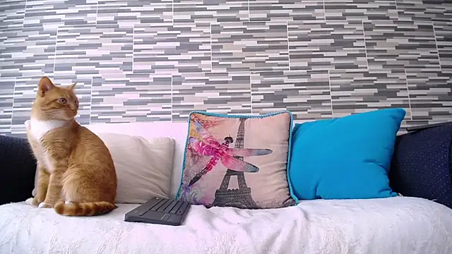 VioletaGomezCo online show from 5, 11, 2025