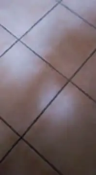 ZorraidaGiroNina online show from 3, 2, 2025