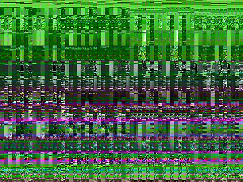 Snapshot of iamMalixxx chatting on 9, 7, 2026 iamMalixxx online show from 9, 7, 2026
