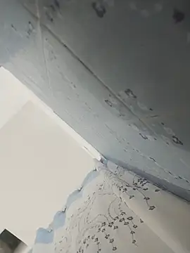 nicedick bro online show from 2, 4, 2026