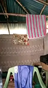 Brian johns online show from 31, 12, 2024