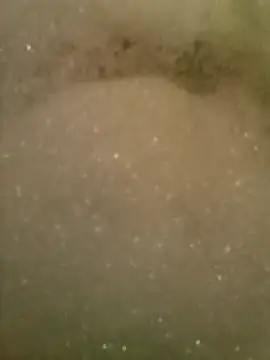 Alexweis995 online show from 12, 4, 2026