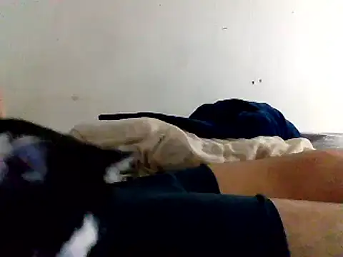 Snapshot of yass56789 chatting on 15, 11, 2025 yass56789 online show from 15, 11, 2025