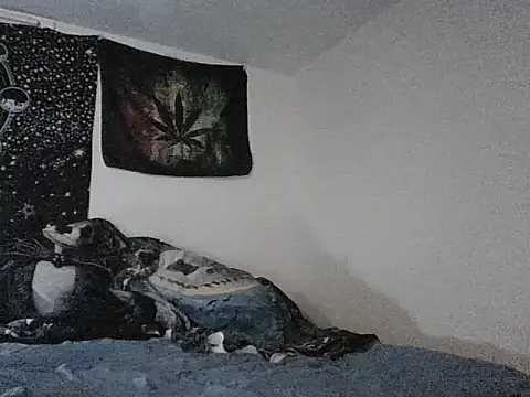 Snapshot of webetokinmo420 chatting on 29, 11, 2025 webetokinmo420 online show from 29, 11, 2025