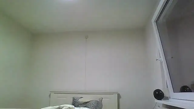 Snapshot of Wesleymodel chatting on 10, 2, 2026 Wesleymodel online show from 10, 2, 2026