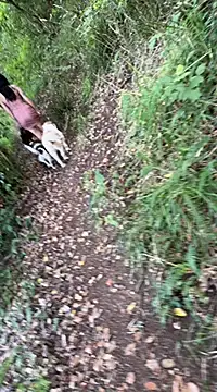 Reinacatchile online show from 4, 2, 2025