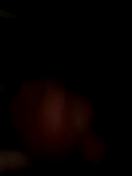 MynameisPaco online show from 11, 11, 2025