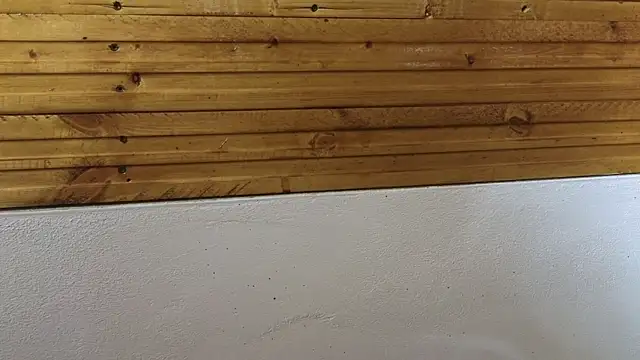 00loret online show from 20, 2, 2025