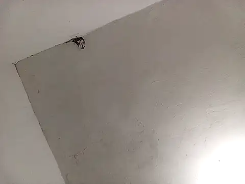 Snapshot of Surreyaa chatting on 13, 2, 2025 Surreyaa online show from 13, 2, 2025