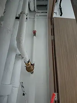 2tomka52052sex online show from 8, 1, 2025