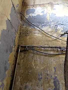 ListedLoin online show from 13, 2, 2026