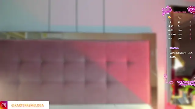 Snapshot of MelissaKarterrs chatting on 19, 2, 2026 MelissaKarterrs online show from 19, 2, 2026