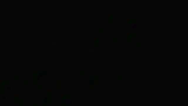 guy master online show from 7, 12, 2024