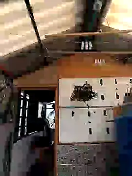 Snapshot of rebekka_simpson chatting on 9, 3, 2025 rebekka simpson online show from 9, 3, 2025