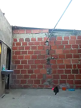 ariana d20 online show from 11, 3, 2025