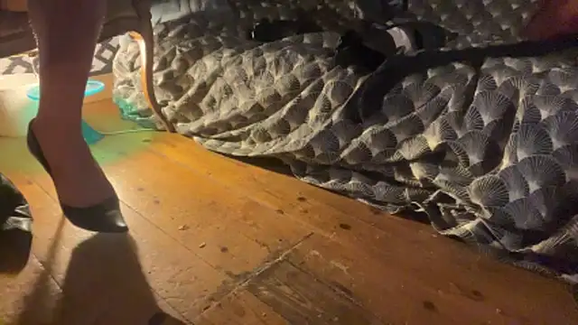 alexheels boots online show from 3, 12, 2025