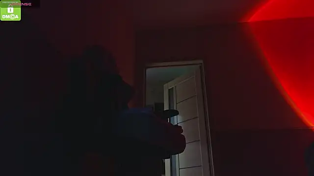 Katy perry  online show from 11, 2, 2026