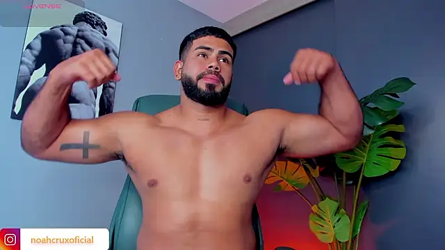 noah crux online show from 19, 3, 2026