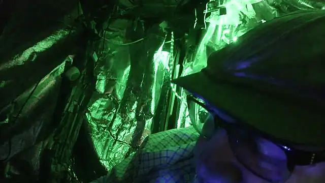 thecoolarrow online show from 25, 2, 2026