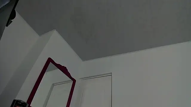 doll10stars online show from 12, 12, 2024