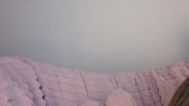 Snapshot of SofiaGc chatting on 9, 1, 2026 SofiaGc online show from 9, 1, 2026