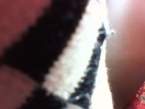 Princess Tamara online show from 21, 11, 2025