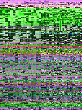 Rose berry online show from 16, 3, 2026