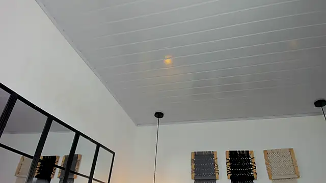 Sweet camille online show from 12, 1, 2026