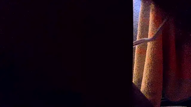 Nightlifecouple247 online show from 27, 11, 2025